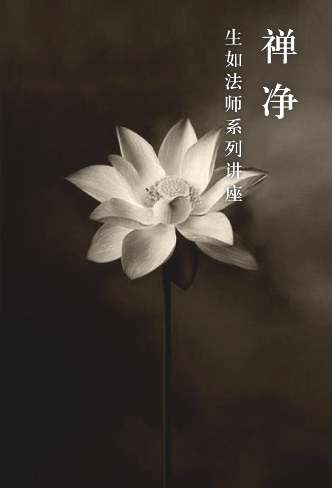 禅净